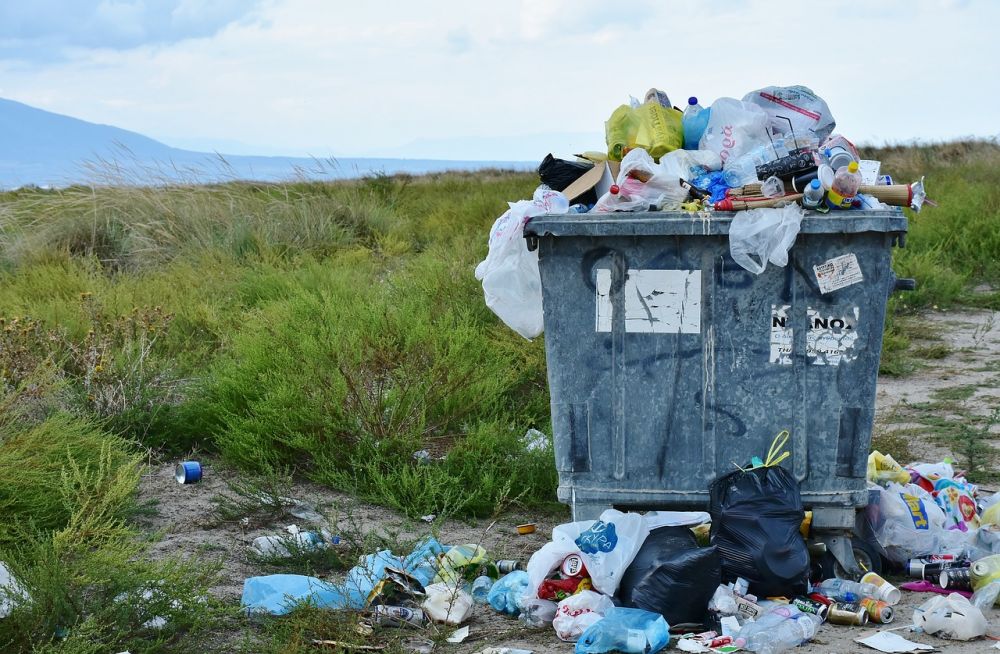 Søppeltaxi i Oslo: En enkel og bærekraftig løsning for avfallshåndtering